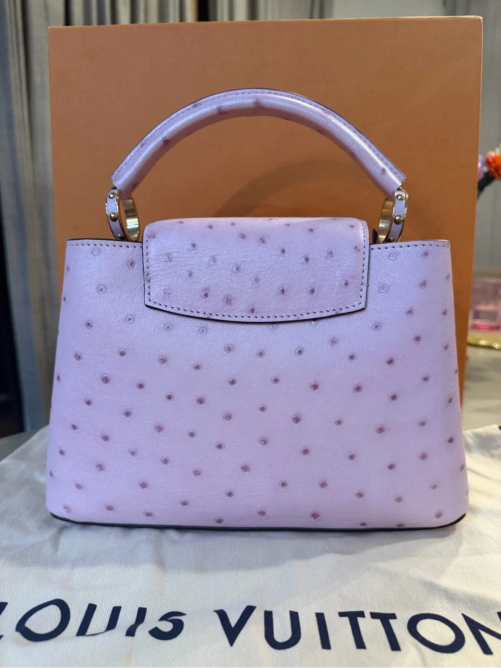 LOUIS VUITTON | ✨NEW✨ Capucines BB Exotic Ostrich Leather Bag in Rose Poudre